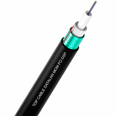 DATALAN&reg; MOM DSP A-DQ (ZN) (SR) B2Y